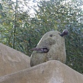 DSC04673.jpg