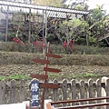 DSC04620.jpg