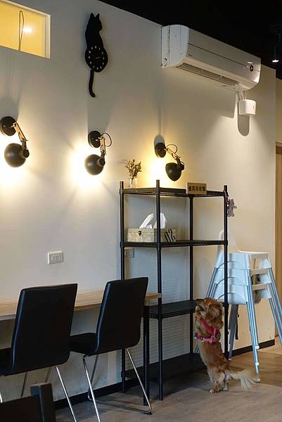 DSC08494.jpg DSC08494.jpg