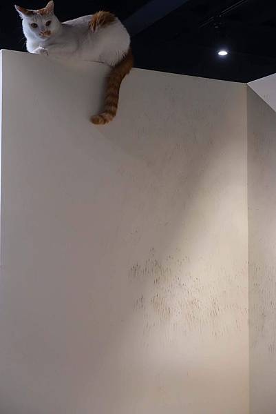 DSC08512.jpg DSC08512.jpg