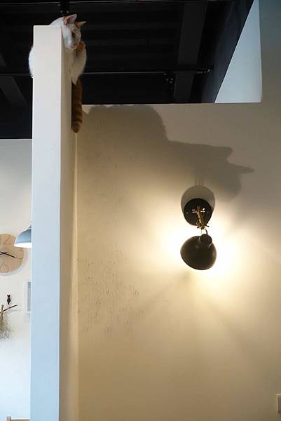 DSC08514.jpg DSC08514.jpg