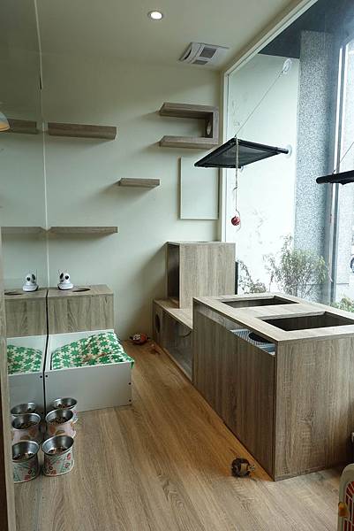 DSC08519.jpg DSC08519.jpg