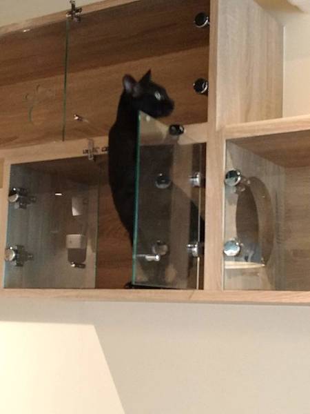 P_20190606_151630_1.jpg P_20190606_151630_1.jpg