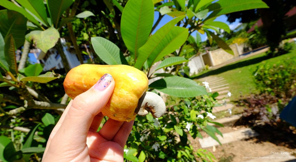 DSCF4614.JPG DSCF4614.JPG