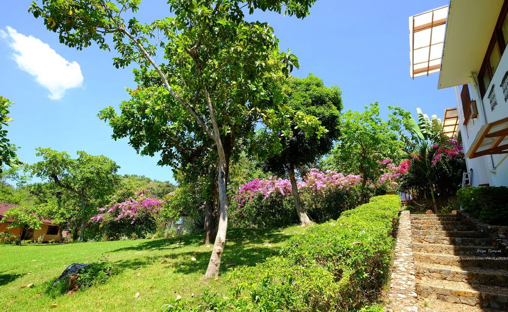 DSCF4744.JPG DSCF4744.JPG