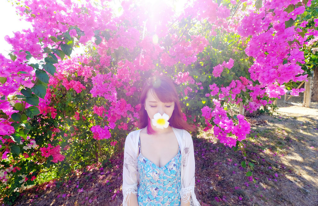 DSCF4650.JPG DSCF4650.JPG