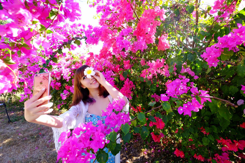 DSCF4656.JPG DSCF4656.JPG