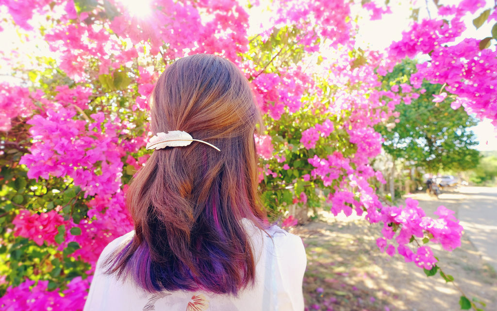 DSCF4629.JPG DSCF4629.JPG