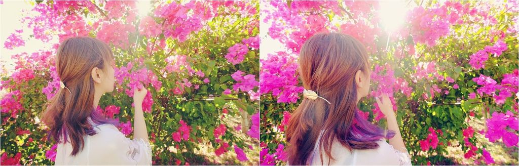 DSCF4632_副本..jpg DSCF4632_副本..jpg