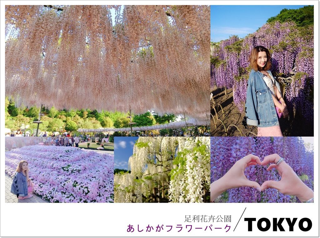 page...jpg page...jpg