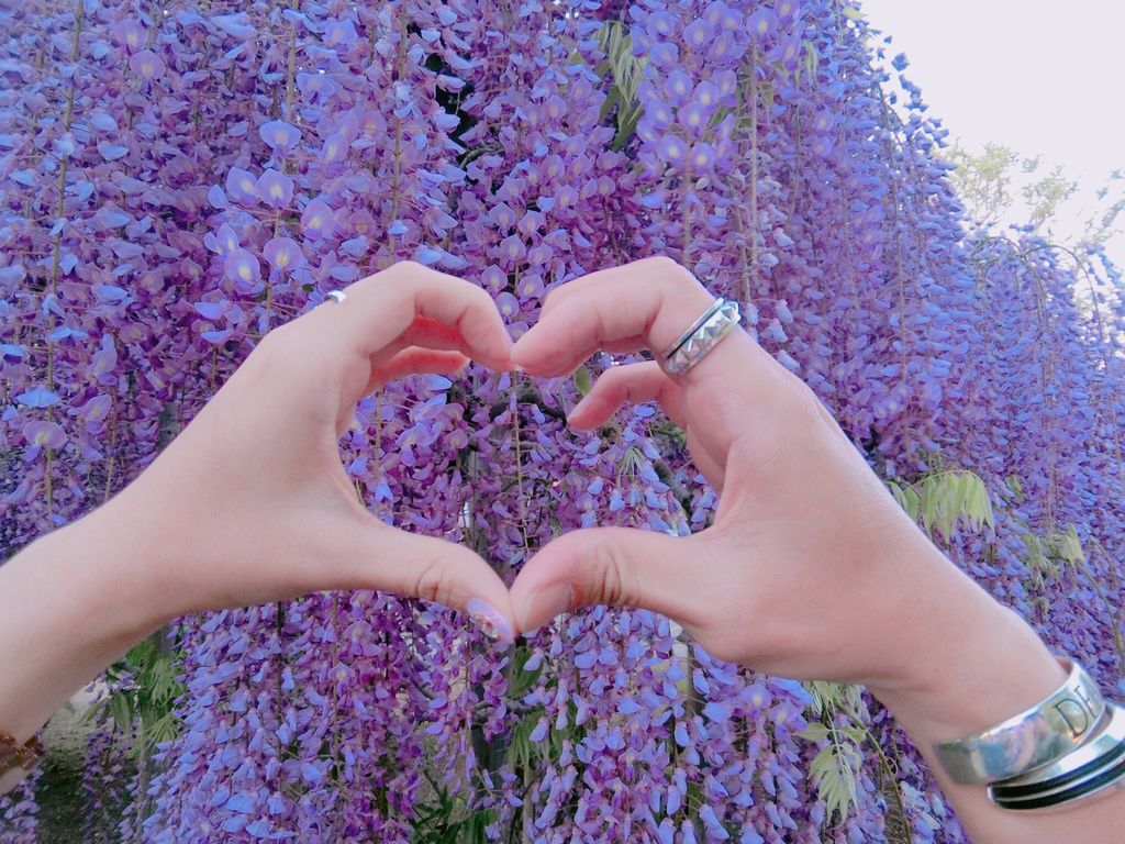 IMG_5163.JPG IMG_5163.JPG