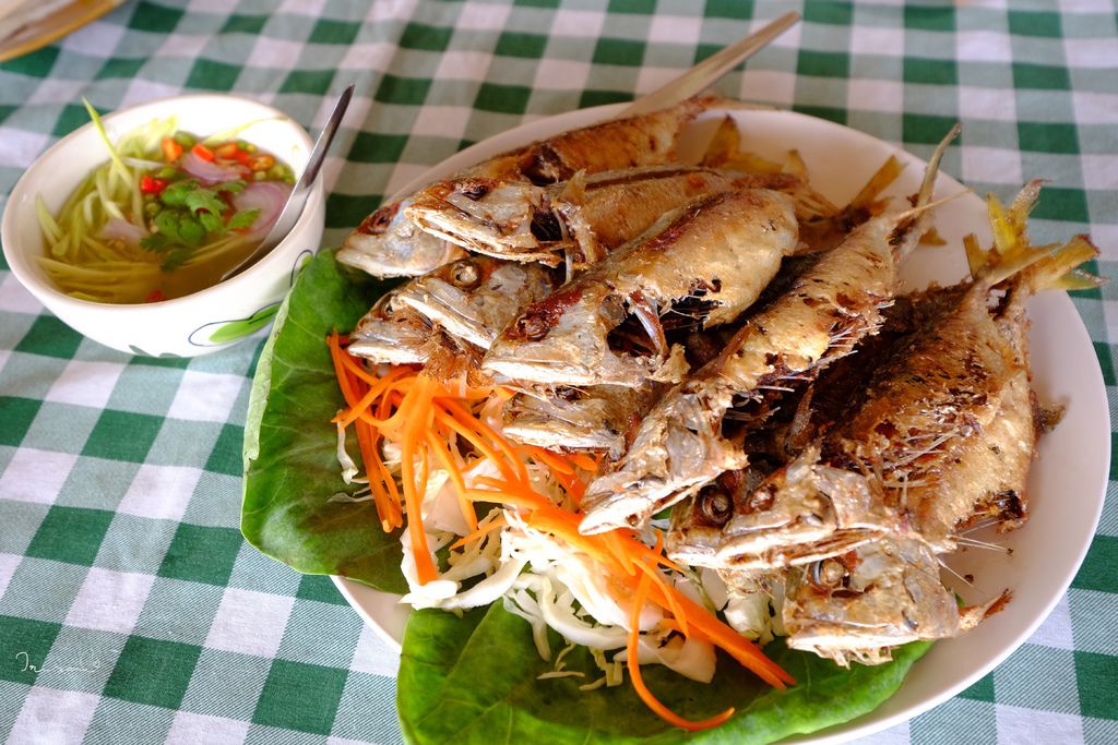 DSCF0131.JPG DSCF0131.JPG