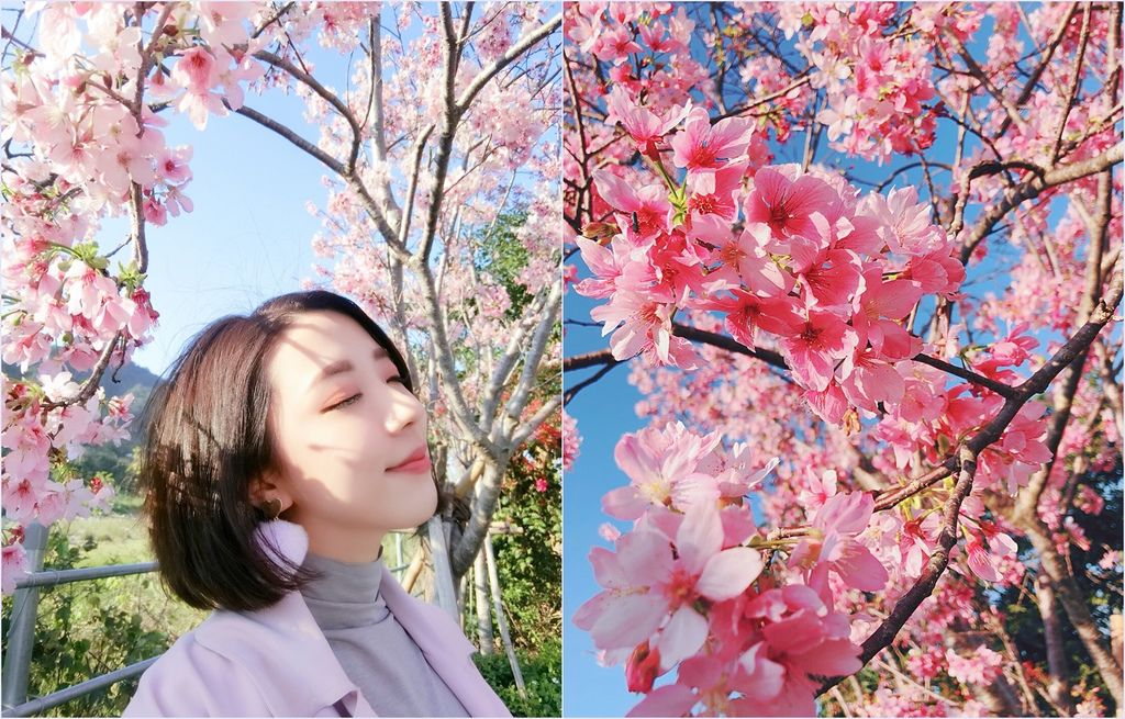 IMG_0589.JPG IMG_0589.JPG