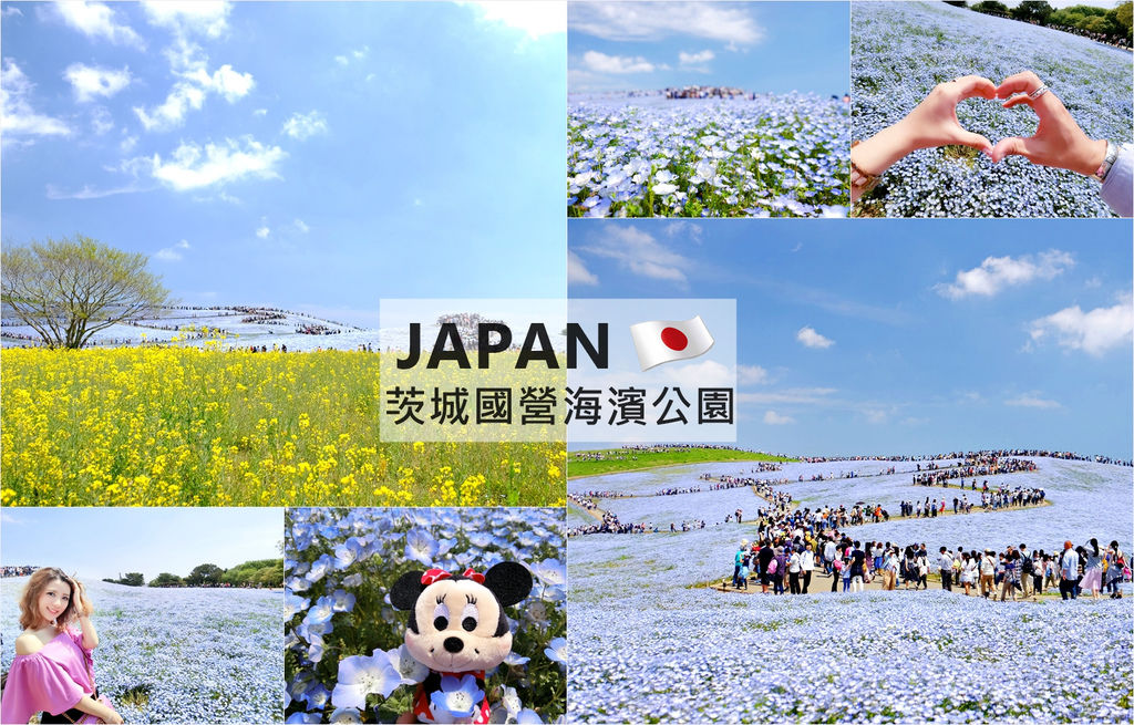 7956d6593663fff.jpg 7956d6593663fff.jpg