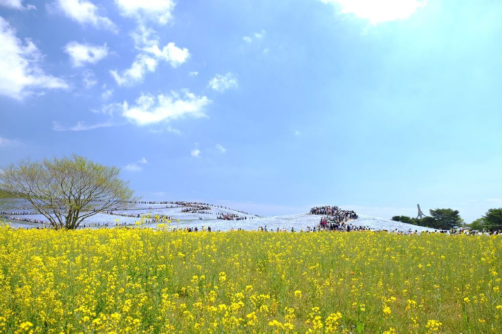 DSCF7848.JPG DSCF7848.JPG