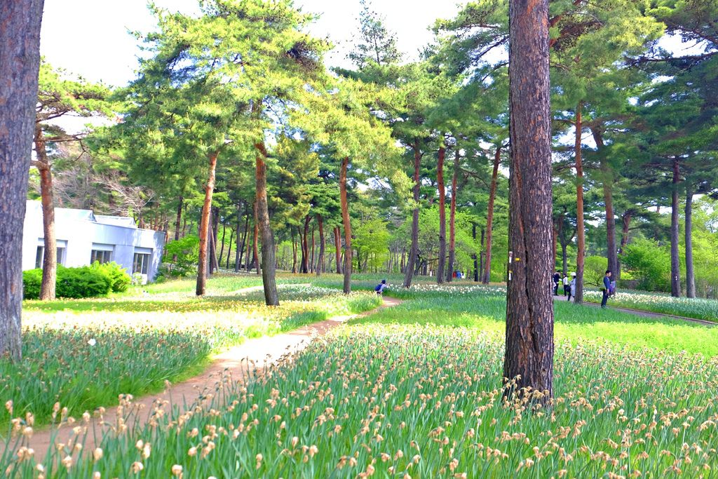 DSCF7842.JPG DSCF7842.JPG