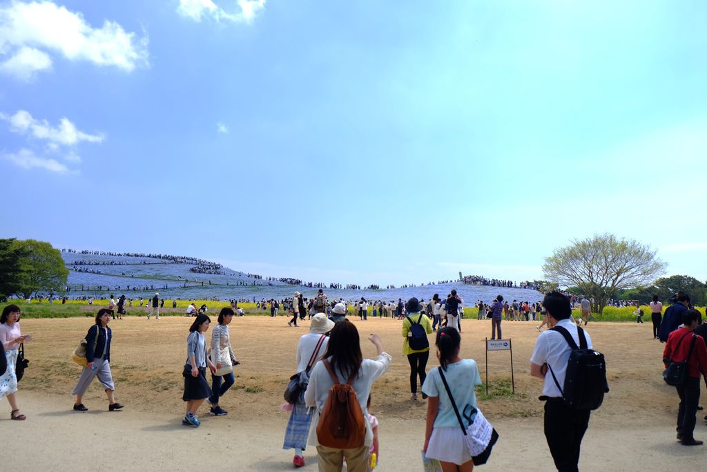 DSCF7845.JPG DSCF7845.JPG