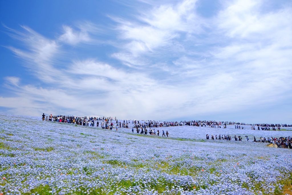 DSCF7987.JPG DSCF7987.JPG