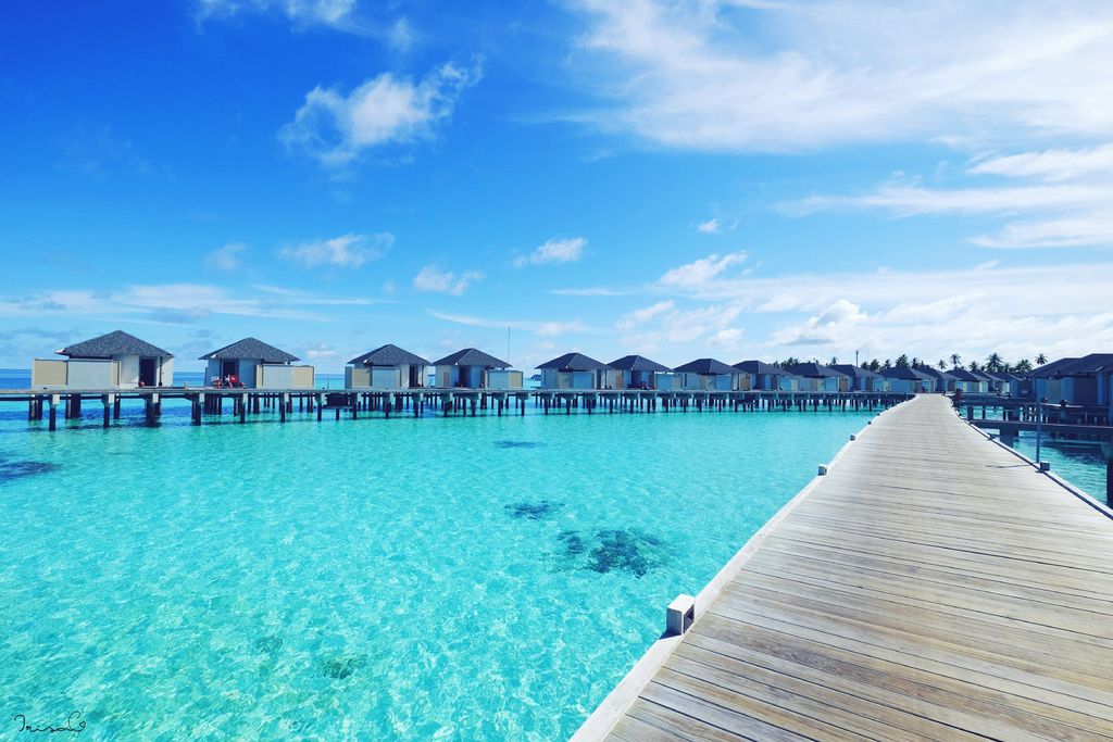 馬爾地夫 馬爾地夫