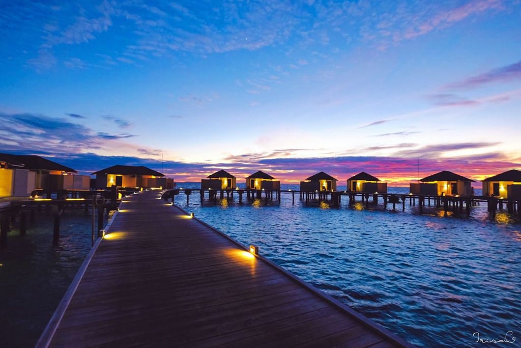 IMG_5586.JPG IMG_5586.JPG