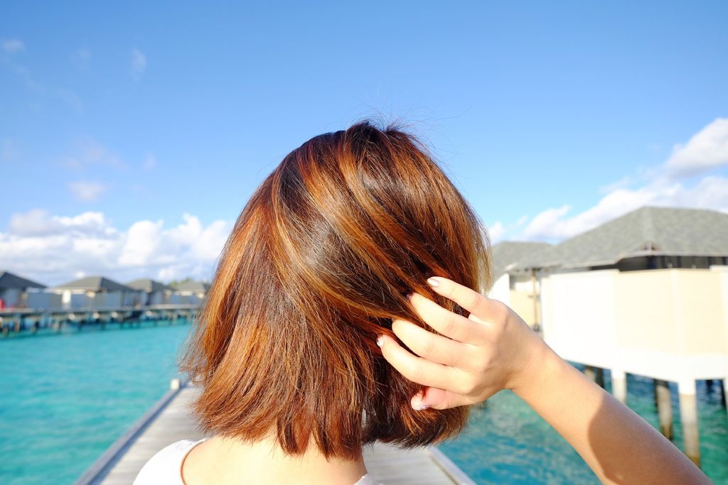 DSCF1611.JPG DSCF1611.JPG