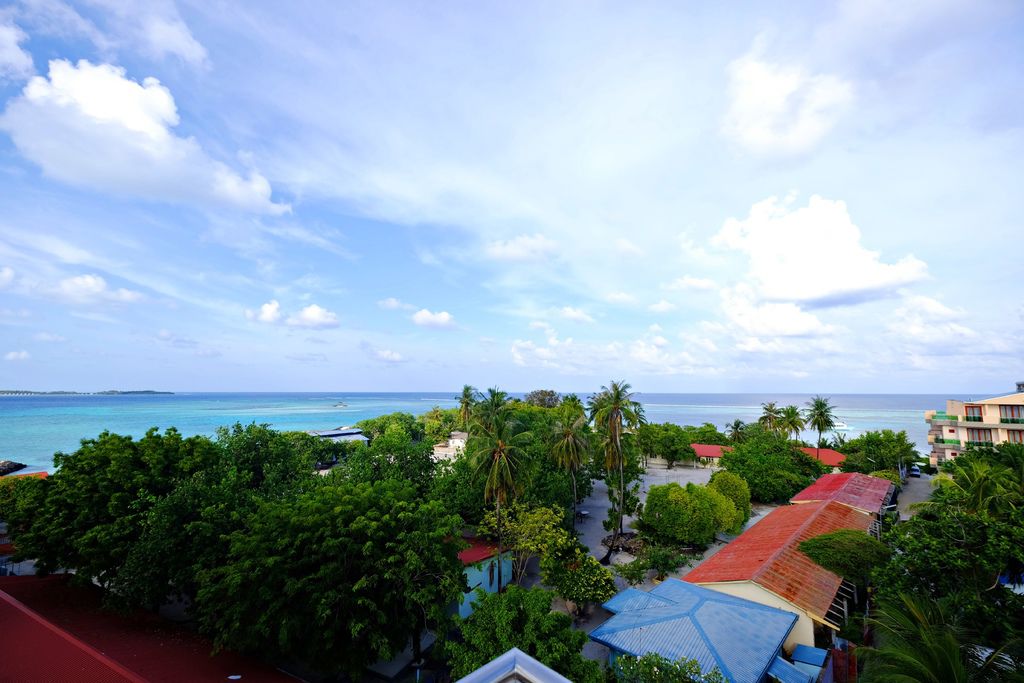 DSCF0291.JPG DSCF0291.JPG