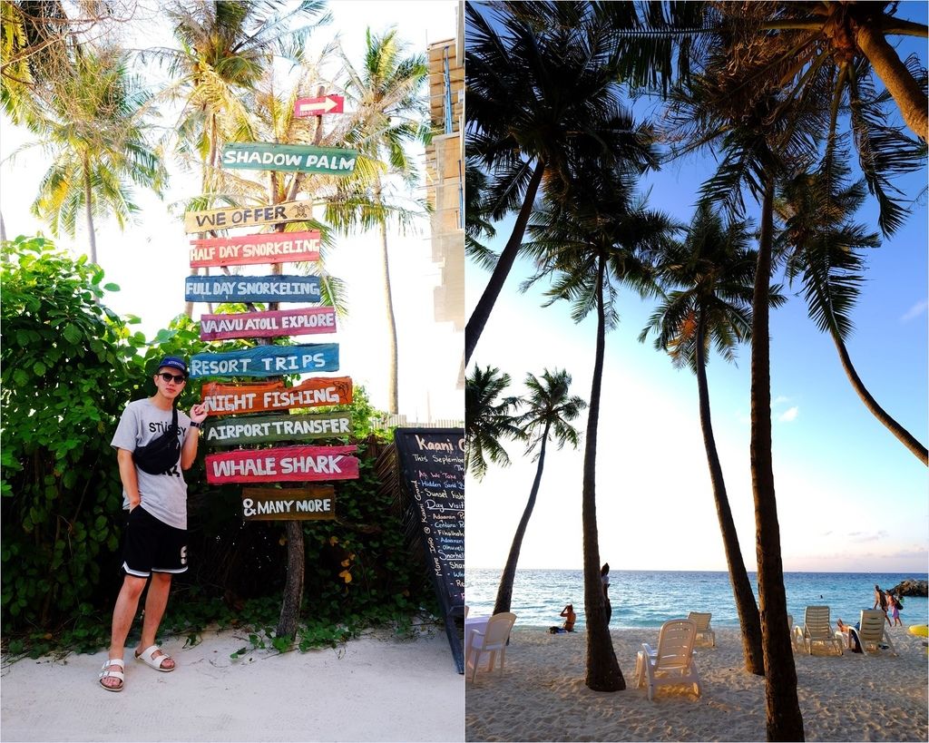 DSCF9782.JPG DSCF9782.JPG