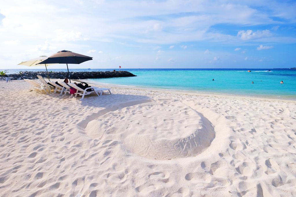 DSCF0271.JPG DSCF0271.JPG