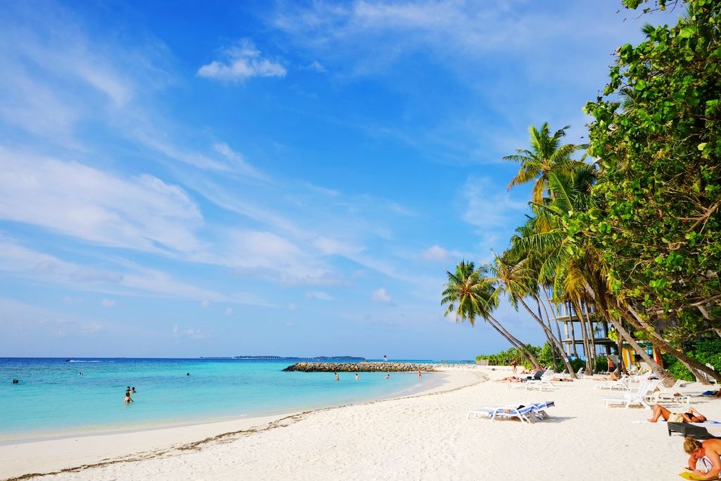 DSCF0284.JPG DSCF0284.JPG