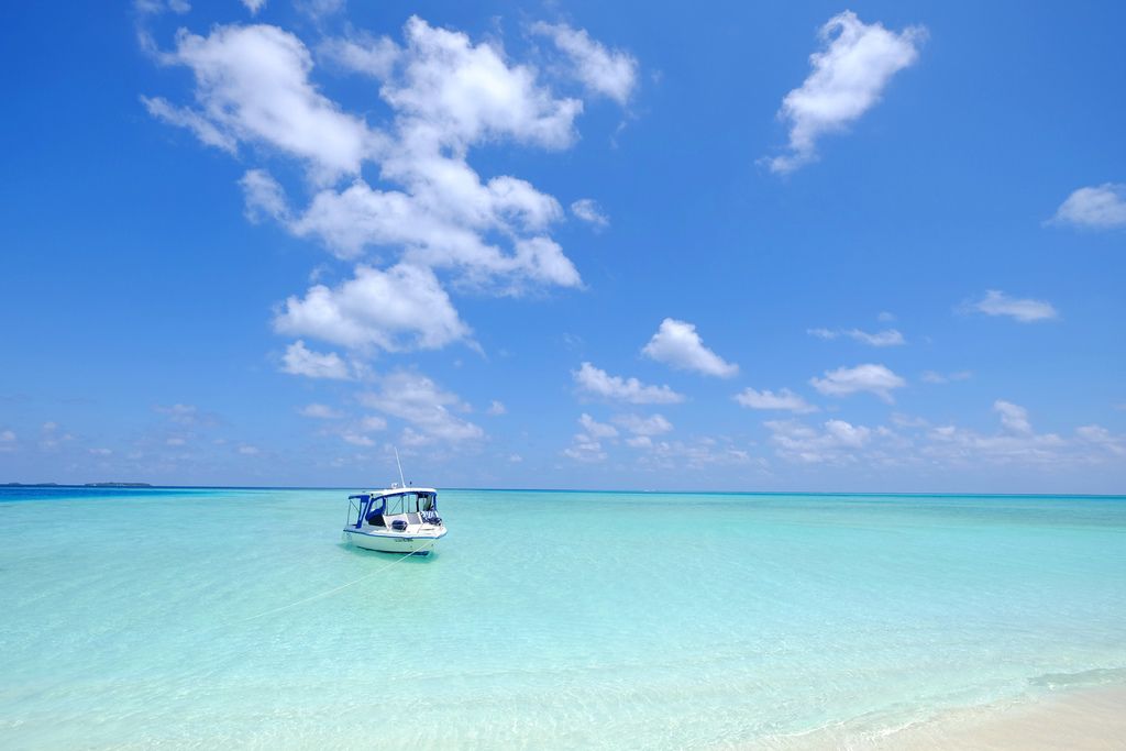 DSCF9643.JPG DSCF9643.JPG