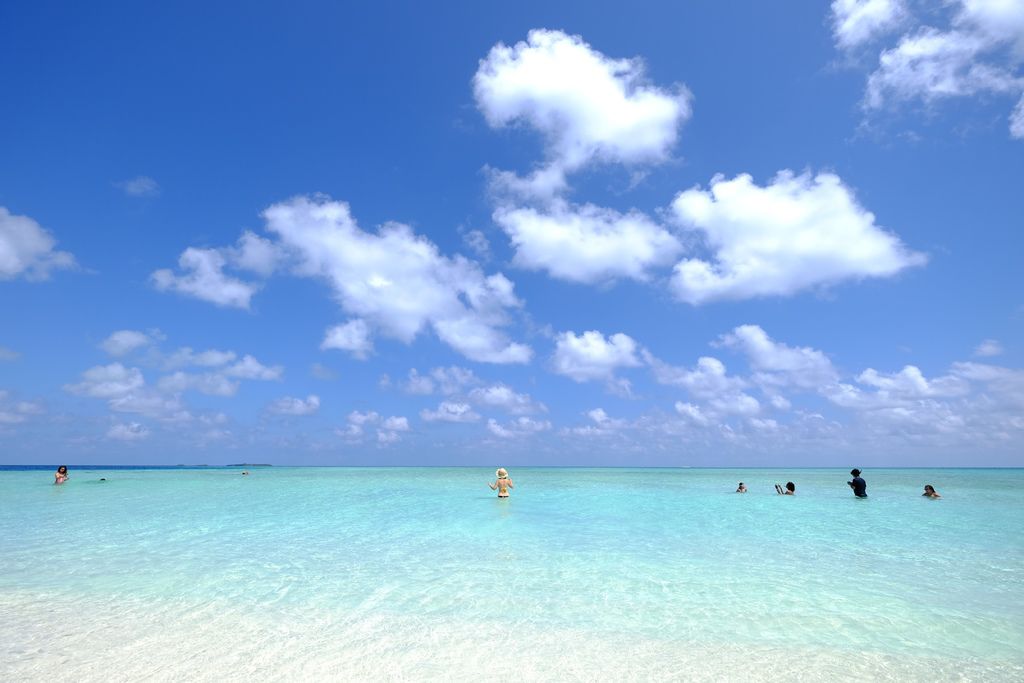 DSCF9706.JPG DSCF9706.JPG