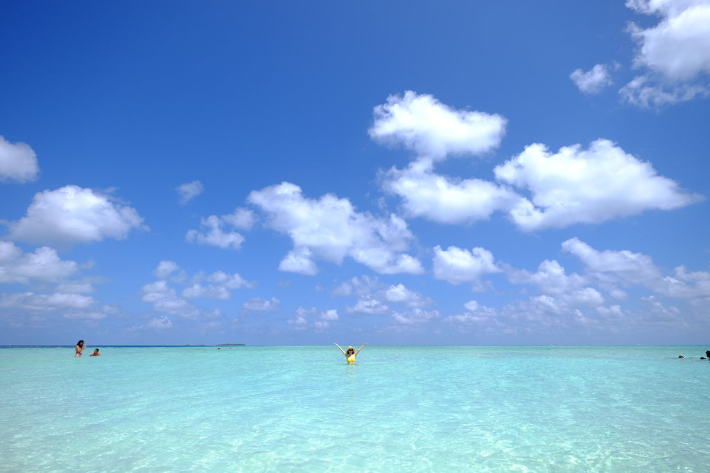 DSCF9711.JPG DSCF9711.JPG