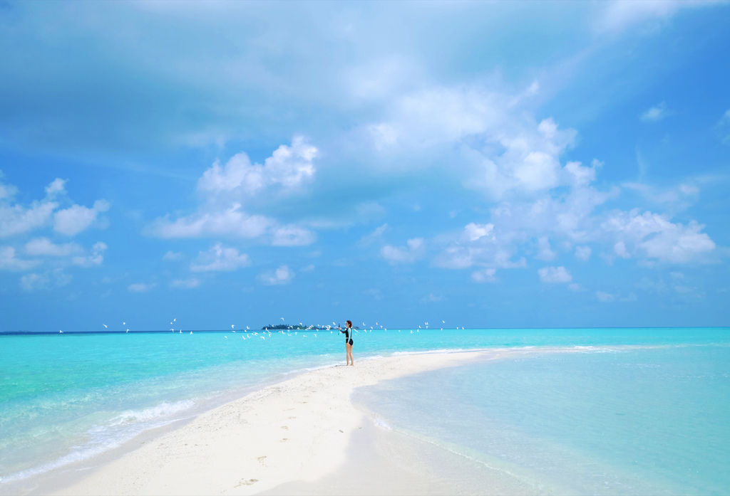 IMG_0388.JPG IMG_0388.JPG