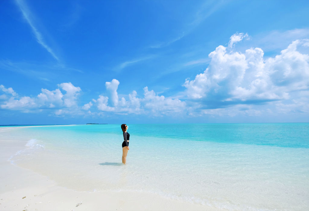 IMG_0390.JPG IMG_0390.JPG