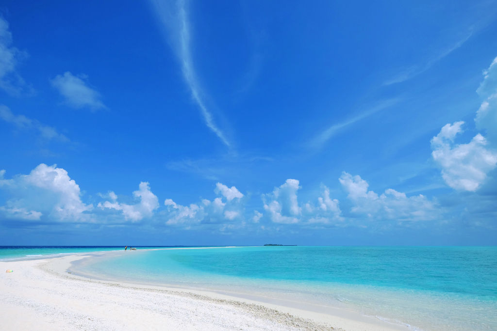 IMG_0407.JPG IMG_0407.JPG