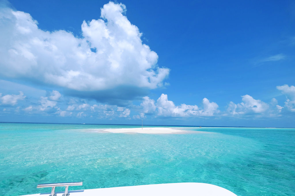 IMG_0406.JPG IMG_0406.JPG