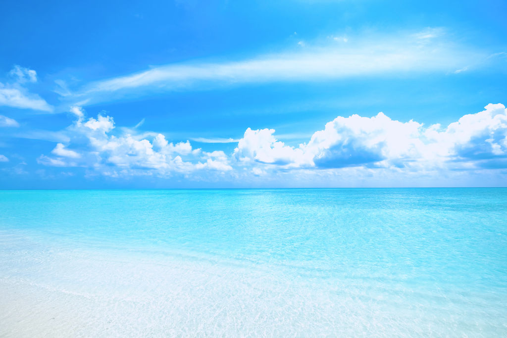 IMG_0412.JPG IMG_0412.JPG