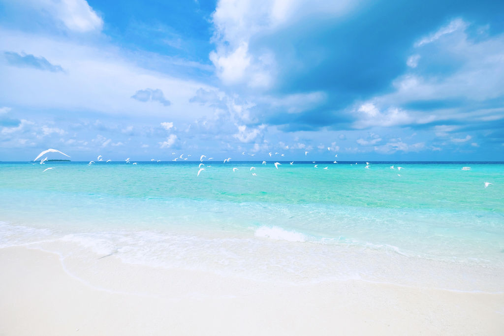 IMG_0416.JPG IMG_0416.JPG