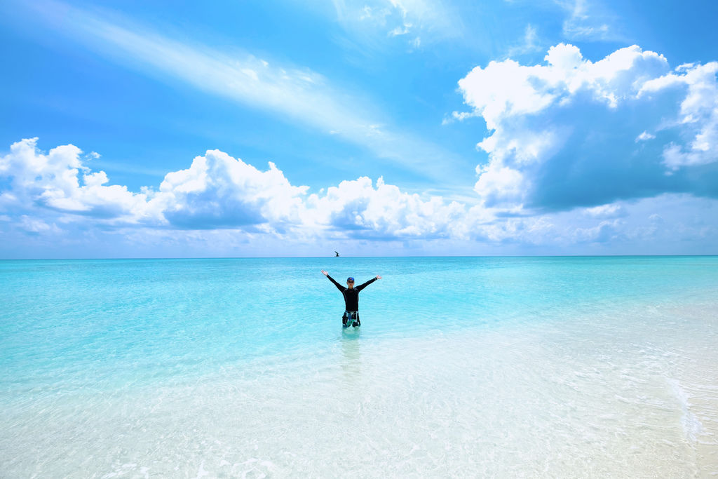 IMG_0415.JPG IMG_0415.JPG