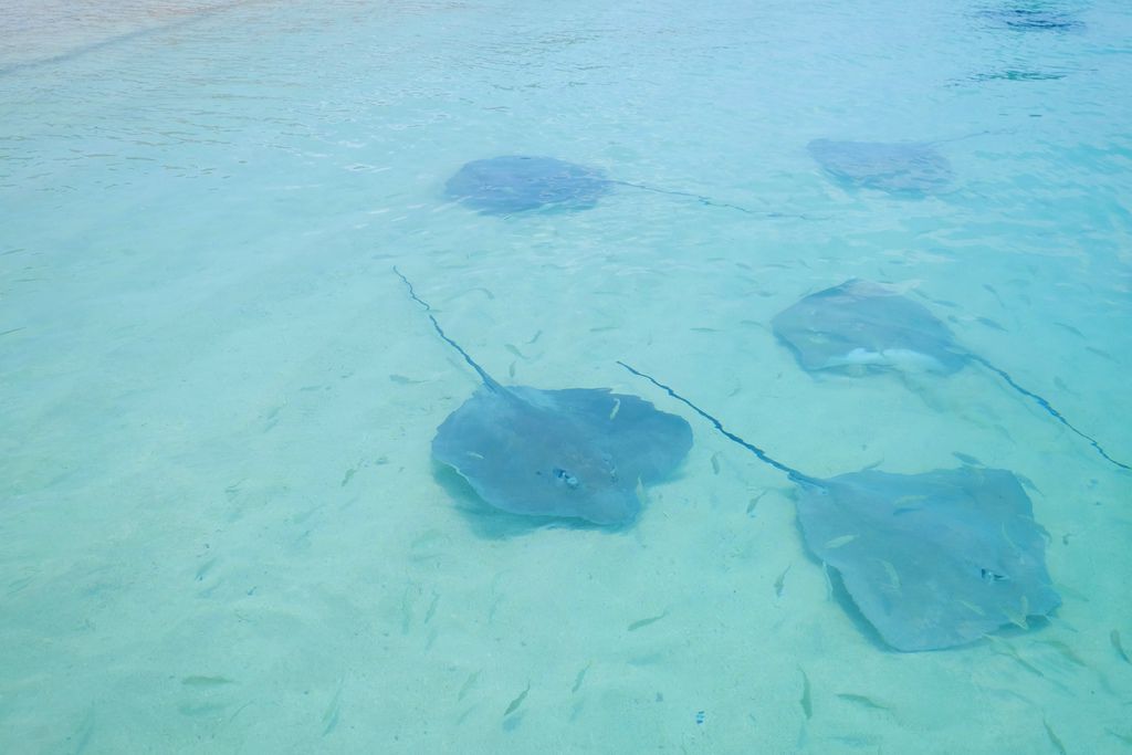 DSCF0066.JPG DSCF0066.JPG