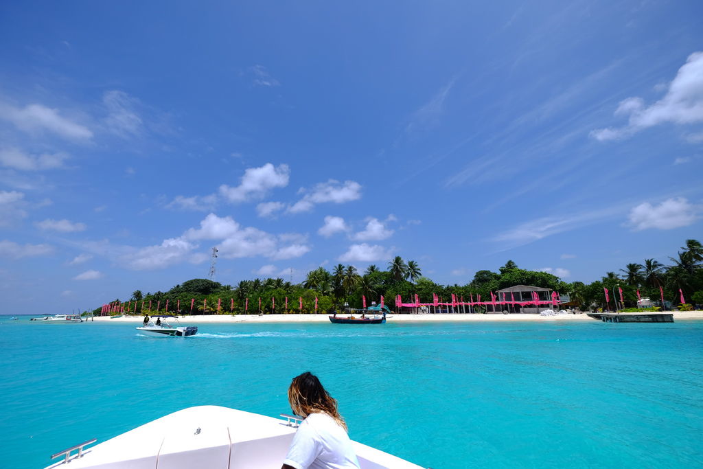 DSCF0050.JPG DSCF0050.JPG