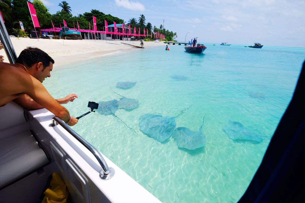 DSCF0072.JPG DSCF0072.JPG