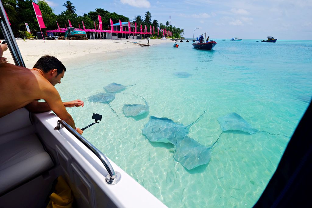 DSCF0073.JPG DSCF0073.JPG