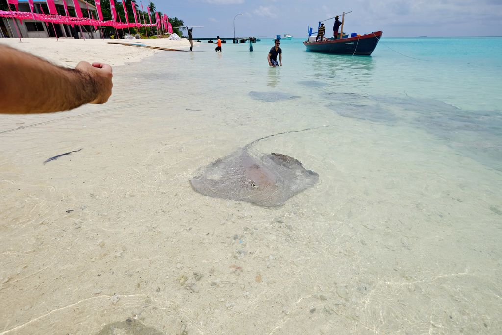 DSCF0074.JPG DSCF0074.JPG