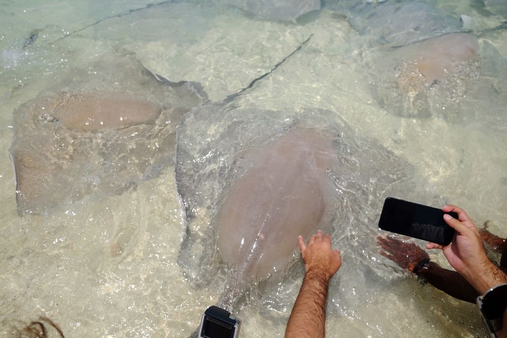 DSCF0084.JPG DSCF0084.JPG