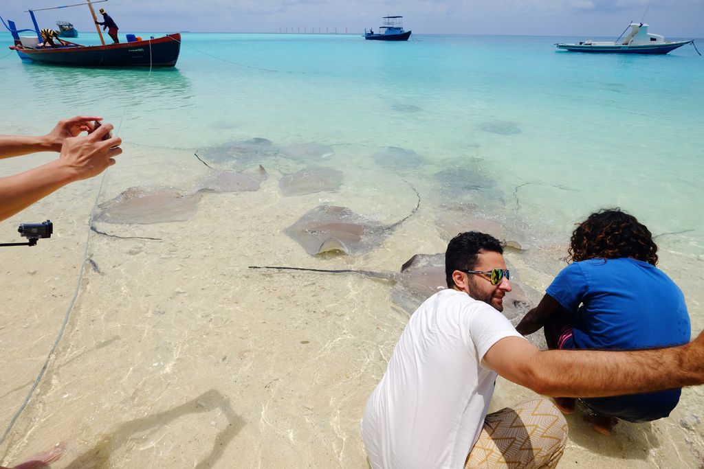 DSCF0085.JPG DSCF0085.JPG