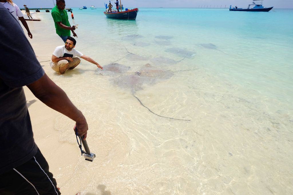 DSCF0091.JPG DSCF0091.JPG