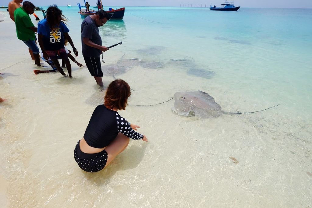 DSCF0087.JPG DSCF0087.JPG