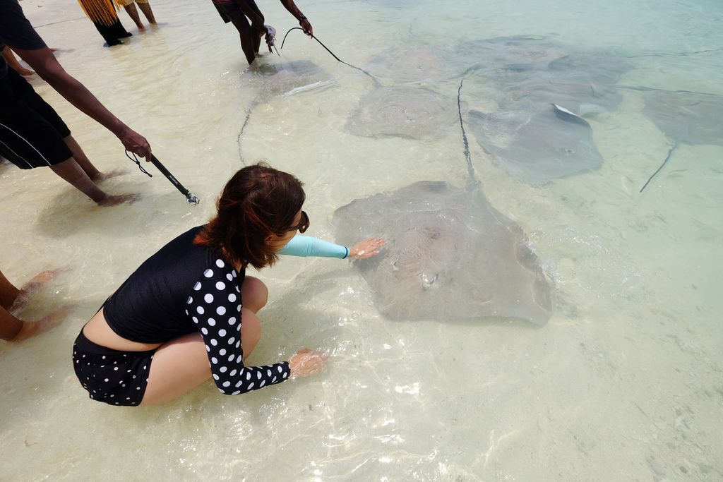 DSCF0115.JPG DSCF0115.JPG