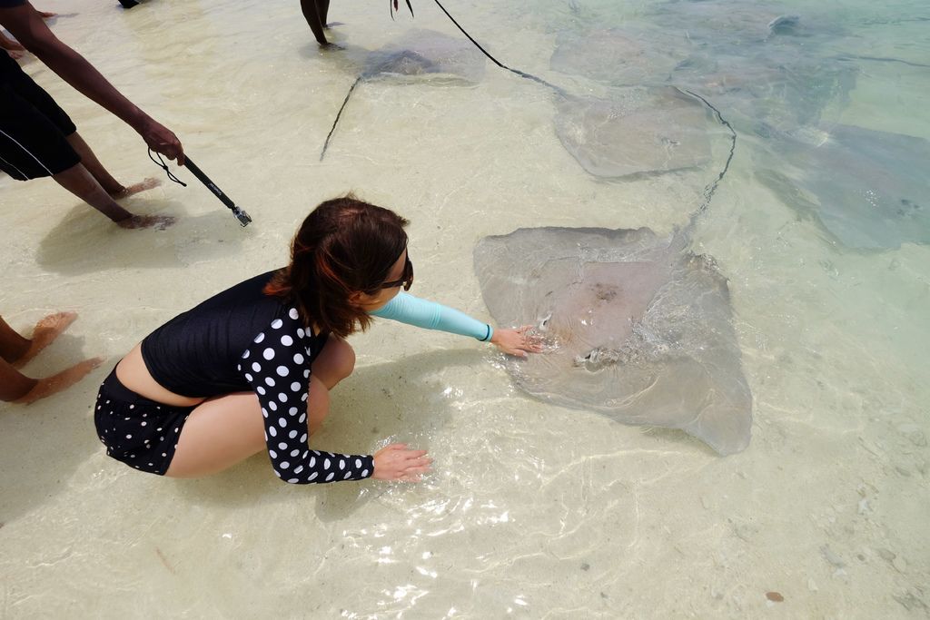 DSCF0116.JPG DSCF0116.JPG